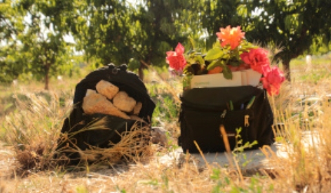 2_7_25_banner