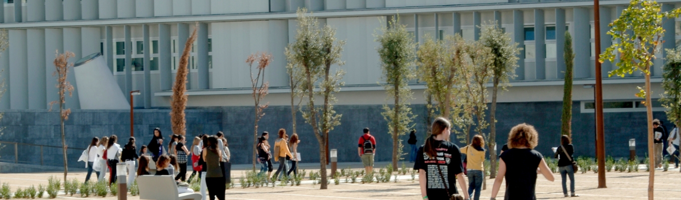 4a Jornada de jocs de taula i rol MENTlúdica