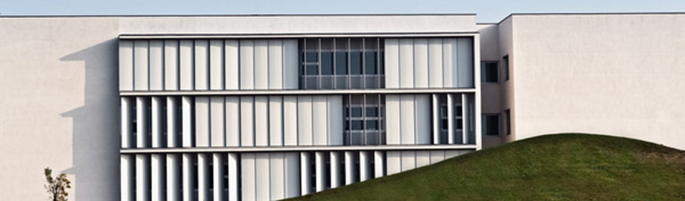 VII Seminari d'immigració i educació d'adults d'origen estranger. Experiències Singulars